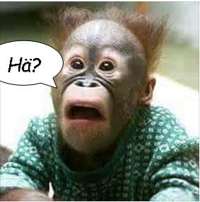 Miksi? Sama päivästä toiseen toistuva&nbsp;kysymys.